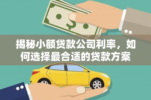 杂多揭秘小额贷款公司利率，如何选择最合适的贷款方案