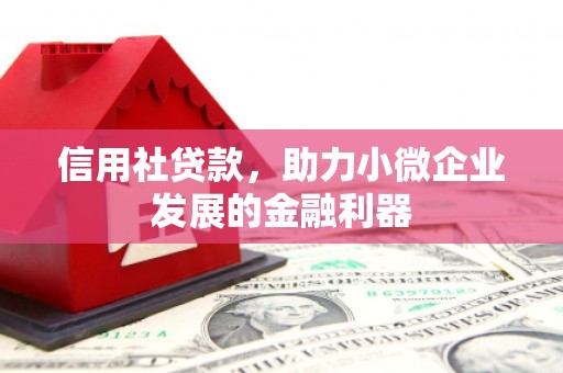 猇亭信用社贷款，助力小微企业发展的金融利器