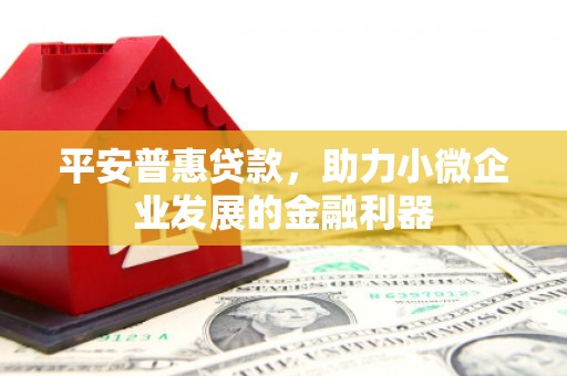 泸西平安普惠贷款，助力小微企业发展的金融利器