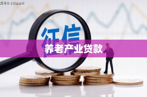 华龙养老产业贷款