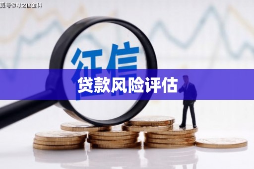 瑞穗贷款风险评估