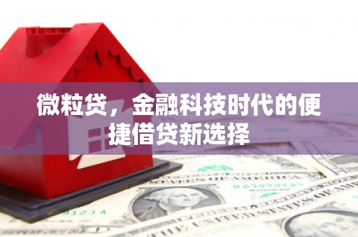 南京微粒贷，金融科技时代的便捷借贷新选择
