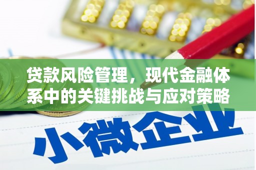 连山贷款风险管理，现代金融体系中的关键挑战与应对策略