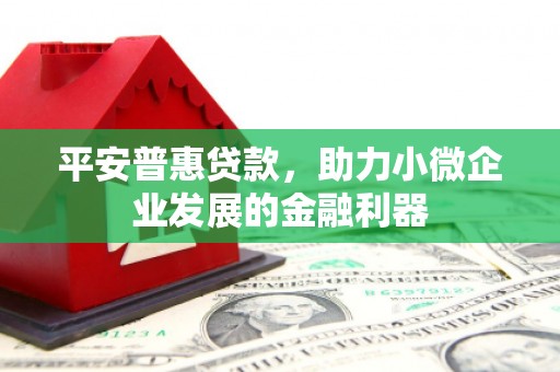 回民平安普惠贷款，助力小微企业发展的金融利器
