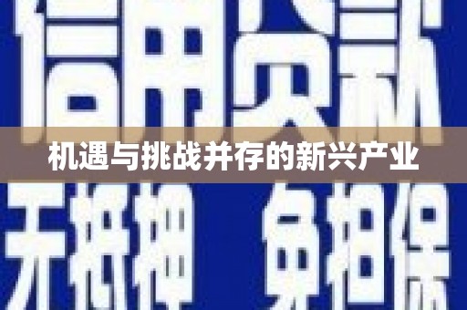 鄯善机遇与挑战并存的新兴产业