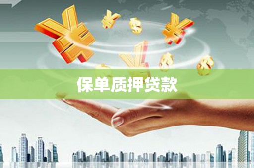 硚口保单质押贷款