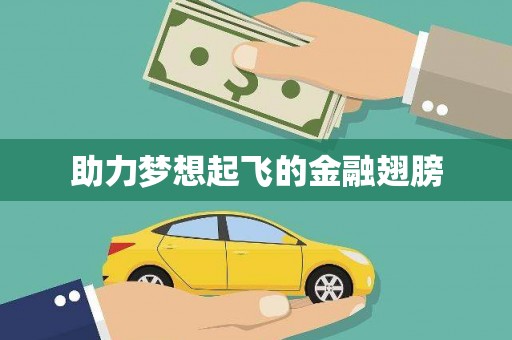 高安助力梦想起飞的金融翅膀
