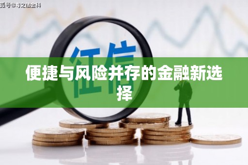 永修便捷与风险并存的金融新选择