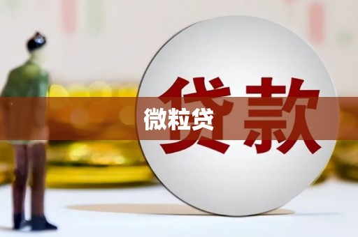 武汉微粒贷