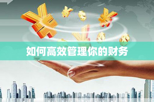 镜湖如何高效管理你的财务