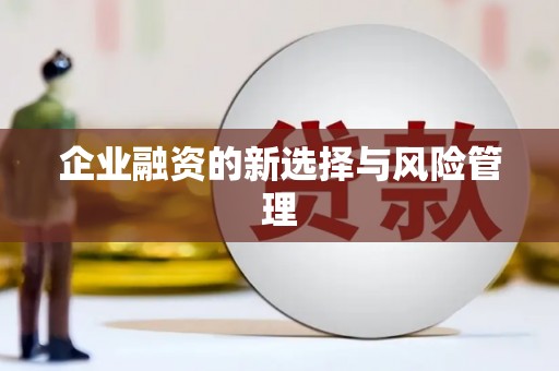 莎车企业融资的新选择与风险管理