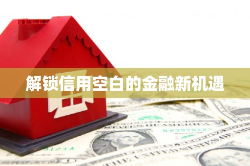米东解锁信用空白的金融新机遇