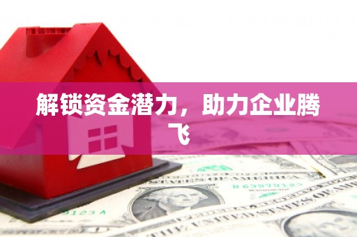泸水解锁资金潜力，助力企业腾飞