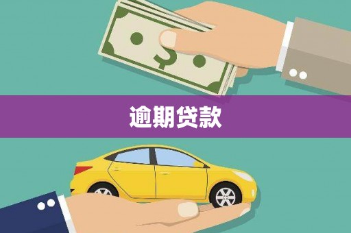崇信逾期贷款