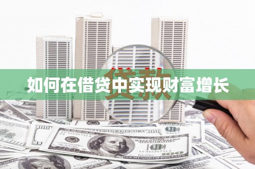 阳山如何在借贷中实现财富增长