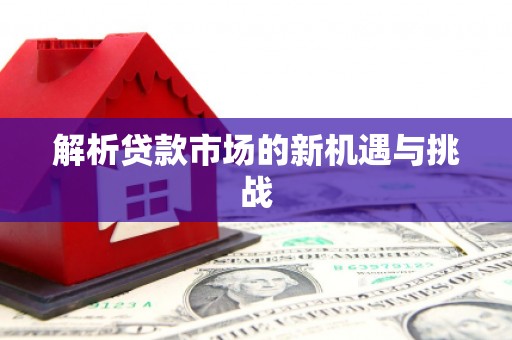 新泰解析贷款市场的新机遇与挑战