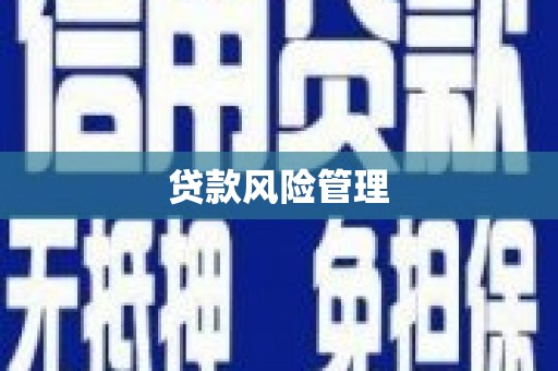 平安贷款风险管理